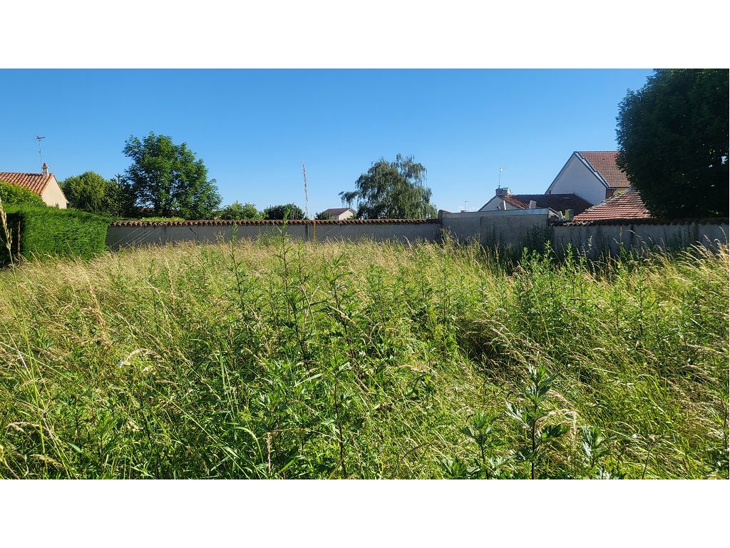 Terrain CHALAIN LE COMTAL (42600) ROCHETTE IMMOBILIER