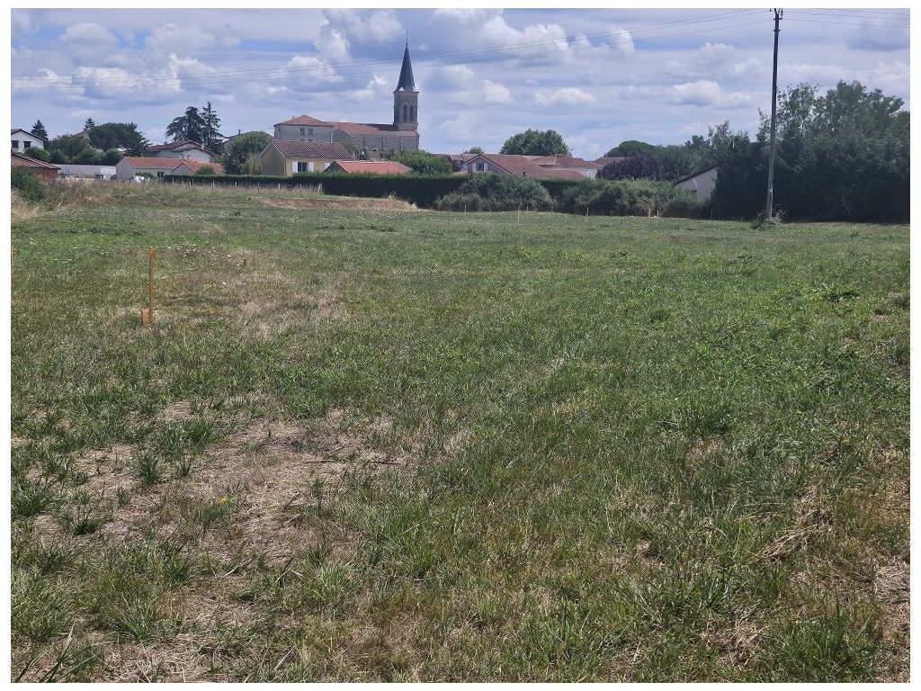 Terrain CHALAIN LE COMTAL (42600) ROCHETTE IMMOBILIER