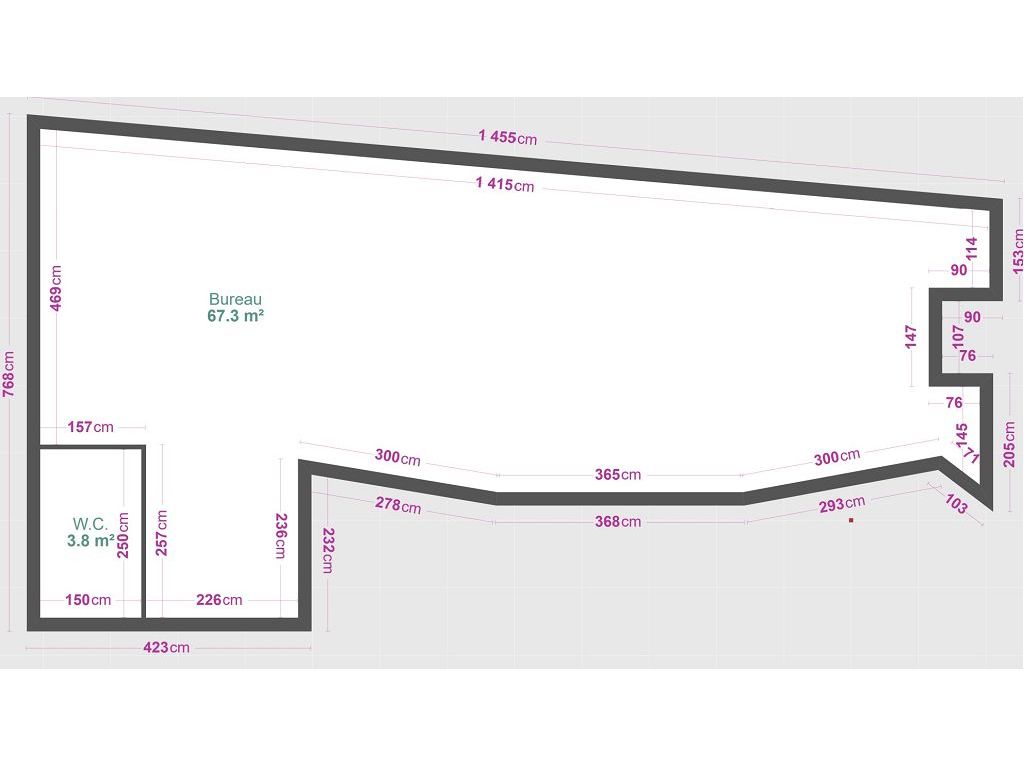Local commercial MONTROND LES BAINS (42210) ROCHETTE IMMOBILIER