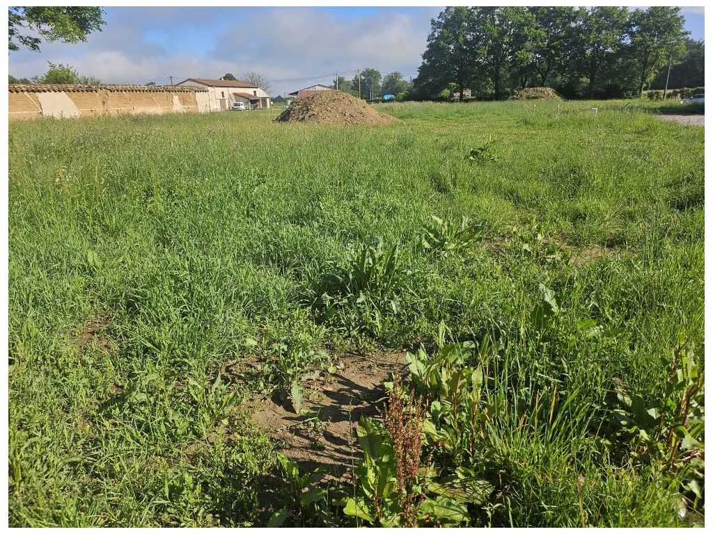 Terrain MONTROND LES BAINS (42210) ROCHETTE IMMOBILIER