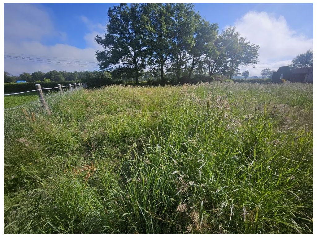 Terrain MONTROND LES BAINS (42210) ROCHETTE IMMOBILIER