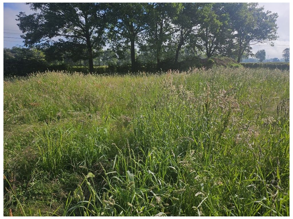 Terrain MONTROND LES BAINS (42210) ROCHETTE IMMOBILIER