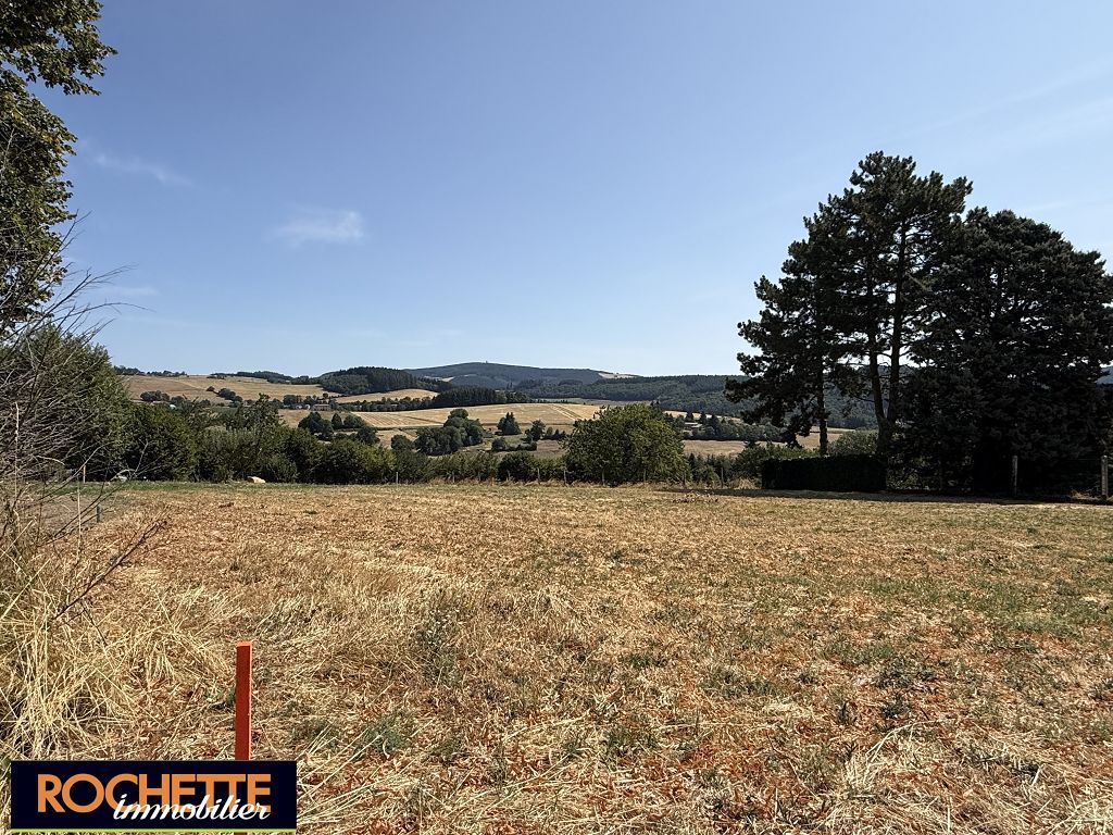 Terrain MONTCHAL (42360) ROCHETTE IMMOBILIER